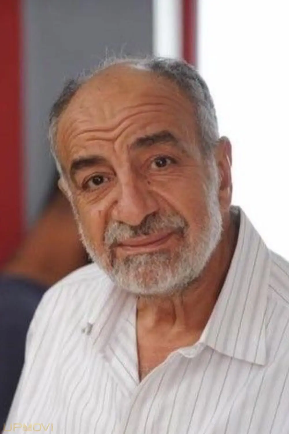Fawzi Bishara