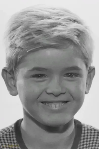 Hartmut Schwerdtfeger