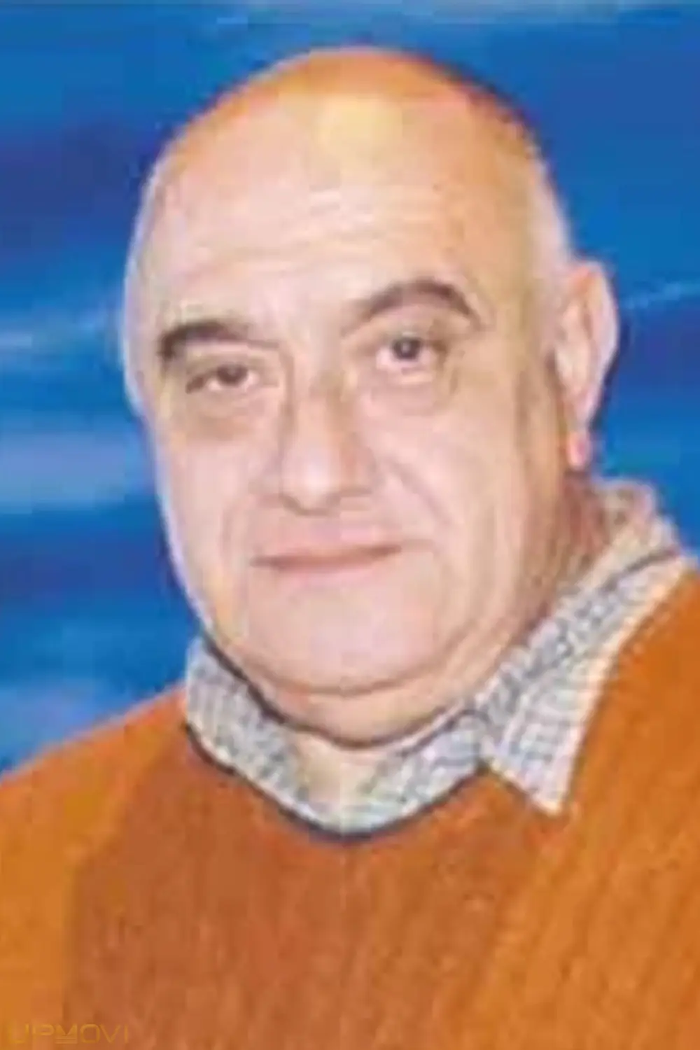 Pelusa Suero