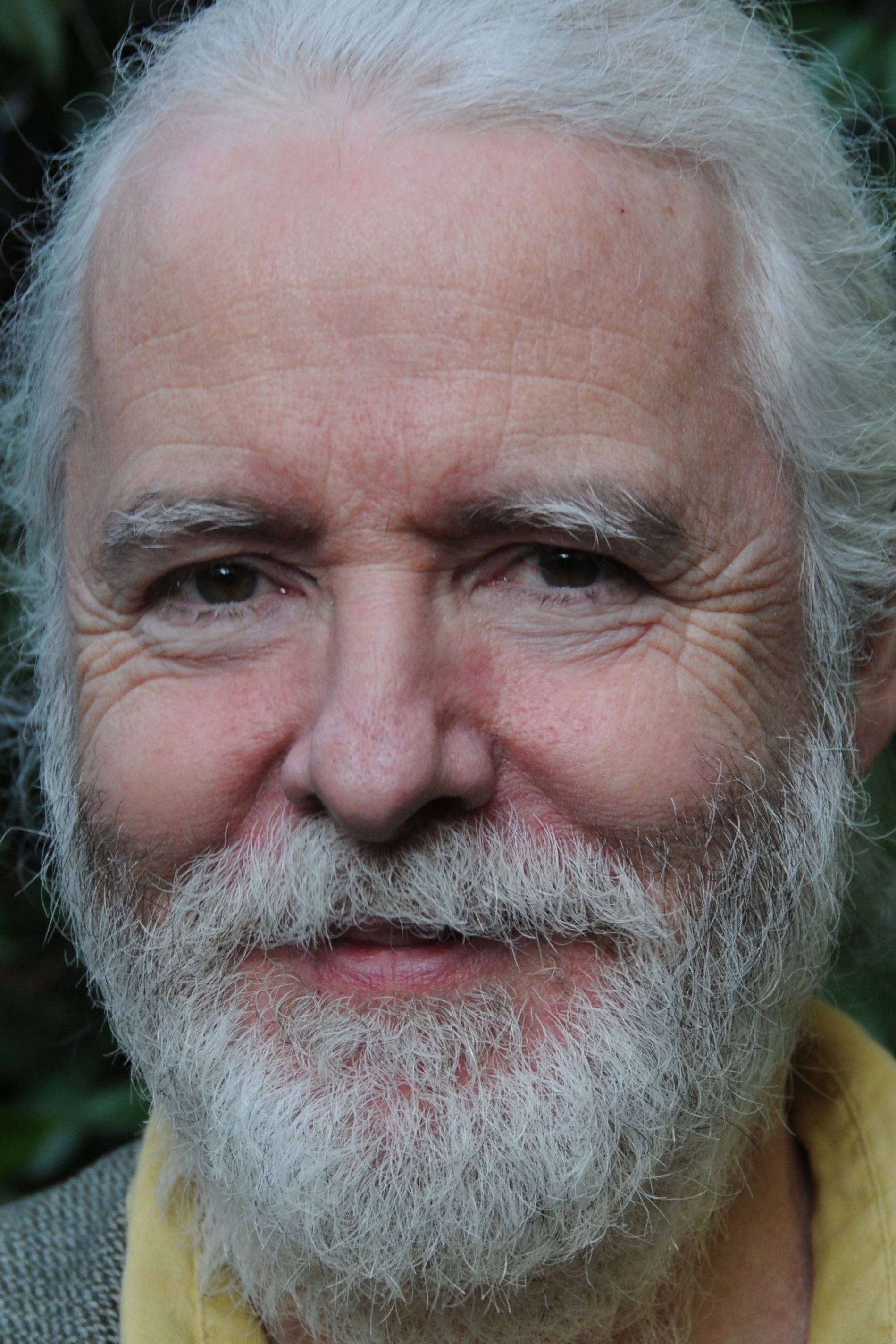 Fulvio Wetzl