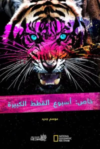 مجموعه هفته گربه بزرگ
