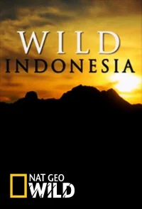 ایرانWild اندونزی