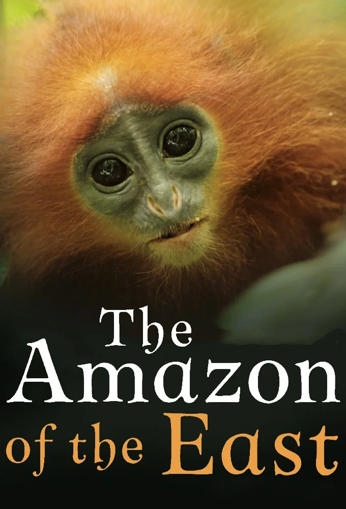 The Amazon of the East