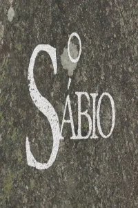 مرد خردمند