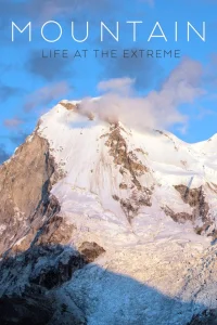 زندگی در ارتفاع: کوهِستان