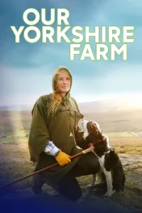 گله‌ی YORKshire ما