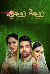 بهُو بیگم