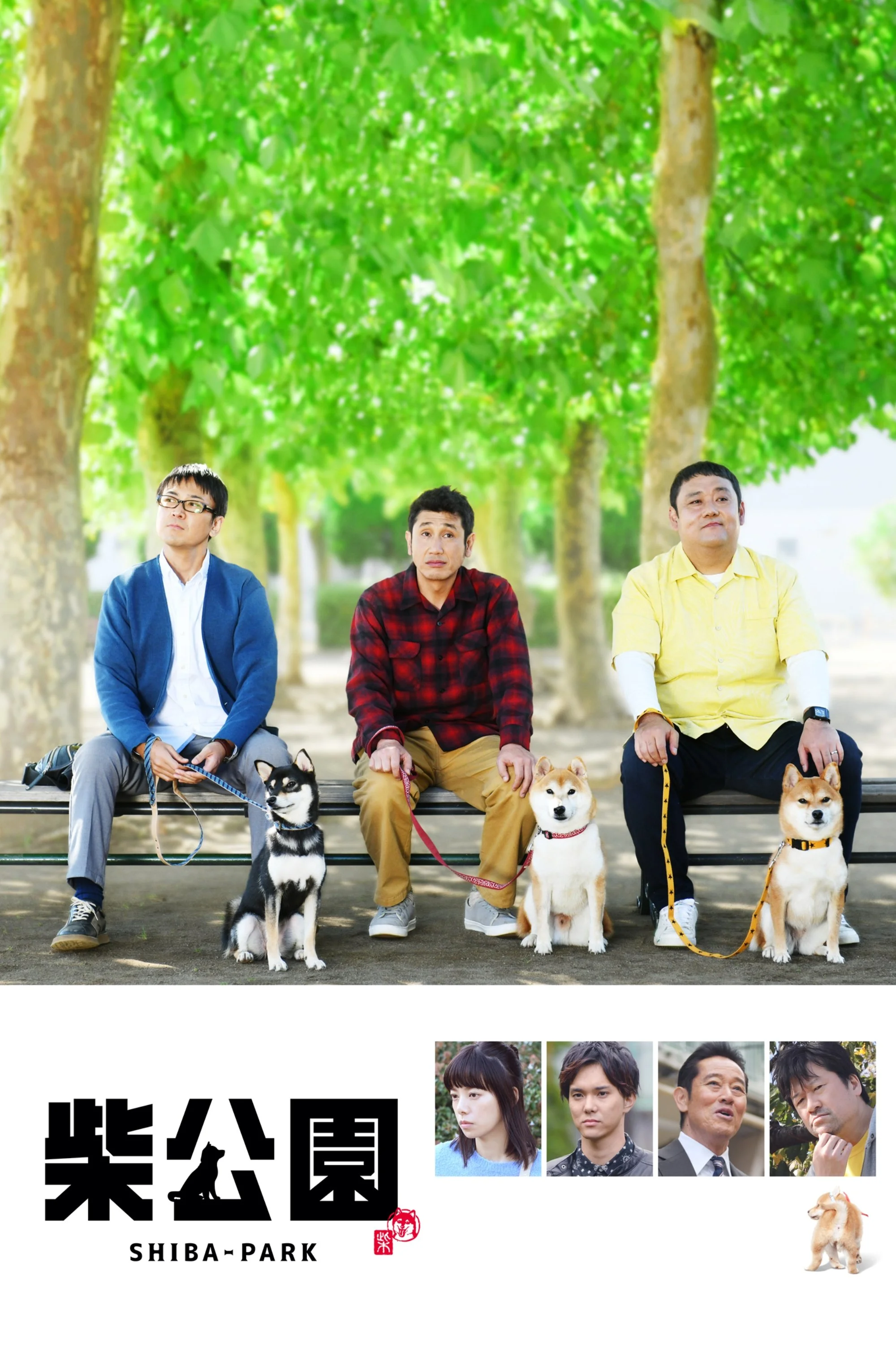 柴公園
