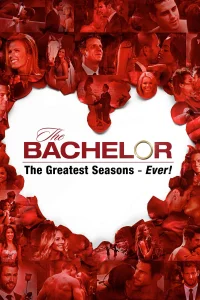 Bachelor: محبوب‌ترین فصل‌ها – تا به امروز