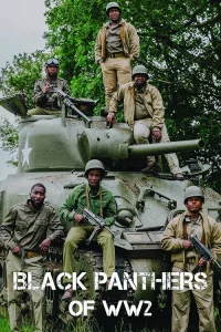 ببرهای سیاه WW2