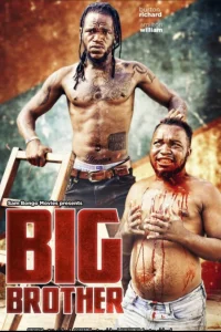 برادر بزرگ Big Brother