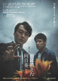 گل آفتاب disappeared در باران
