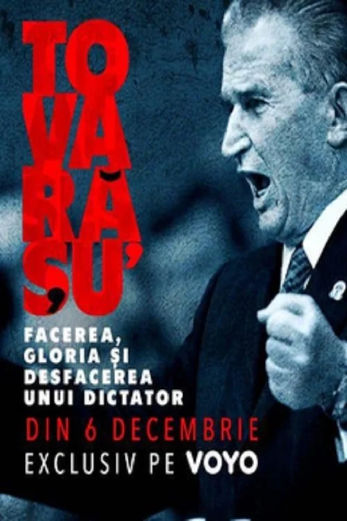 هم‌فکر: ساخته‌شدن، شکوه و بی‌پایانی دیکتاتور
