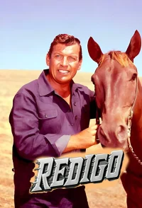 ریدیگو