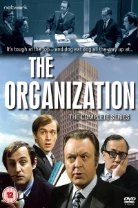 سازمان