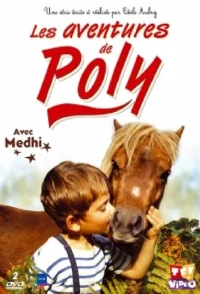 کالی Poly