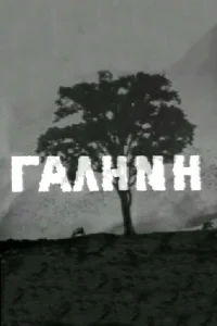 گالینی
