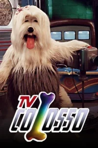 تلویزیون کالوزو