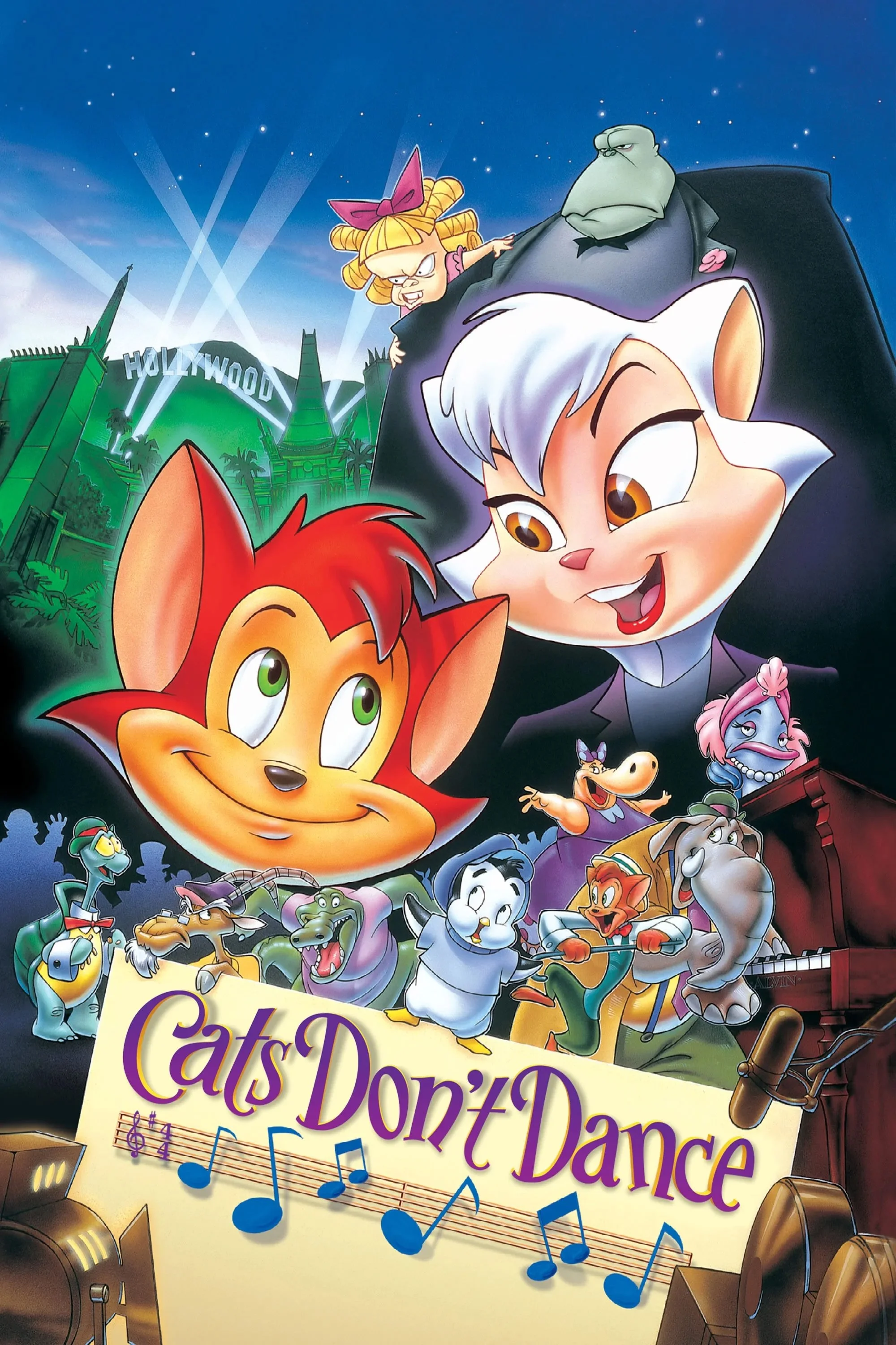 Dany, le chat superstar