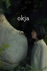 أوكجا