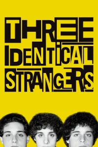 Trois étrangers identiques