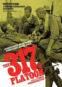 پلاatoon 317