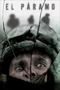 گروه