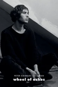 چرخ خاکستر