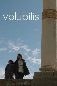 ولوبیلis