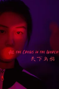 All the Crows in the World