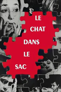 القط في الحقيبة