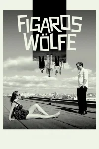 Figaros Wölfe