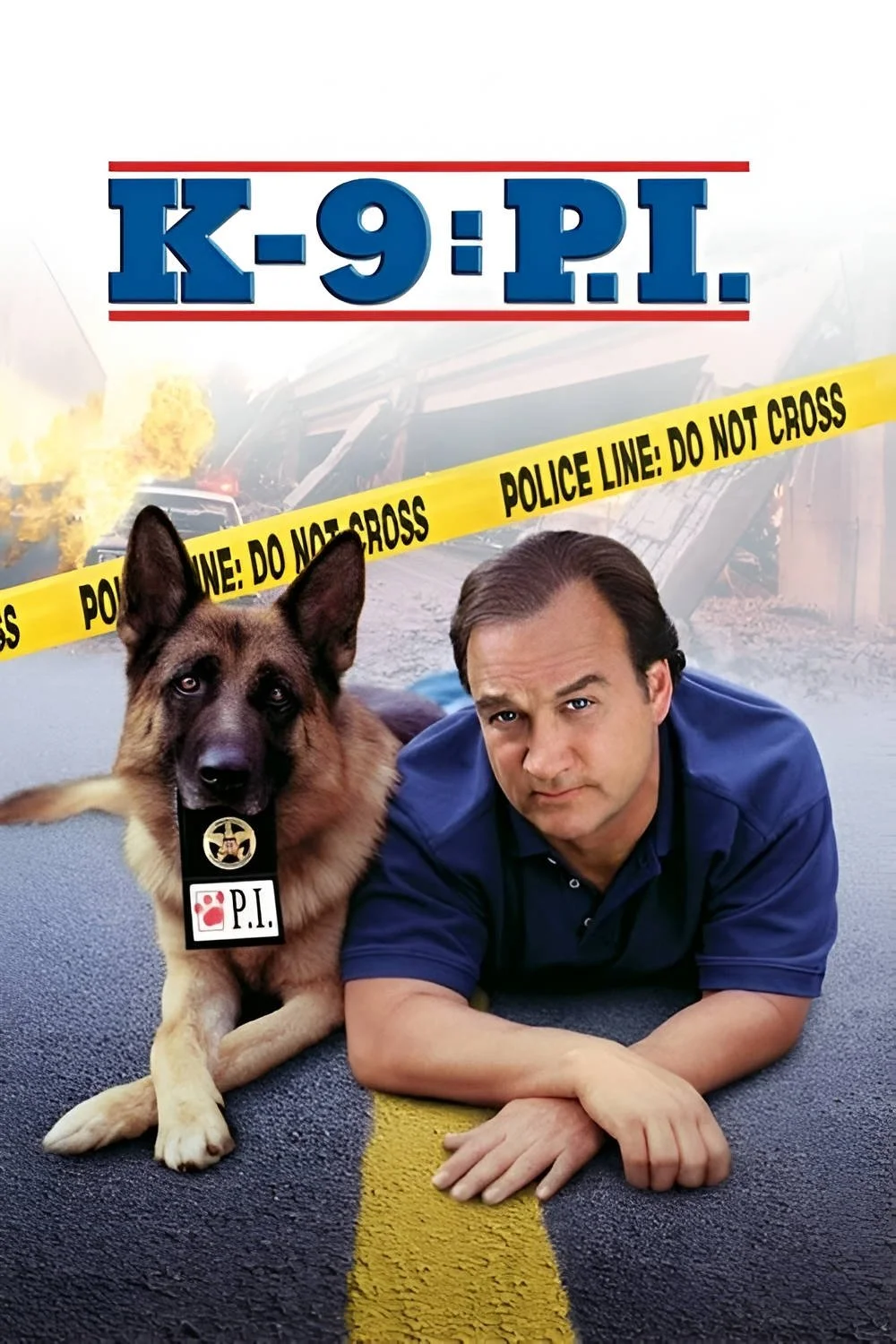 K-9: کارآگاه خصوصی