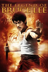 Bruce Lee - La Mémoire du Dragon