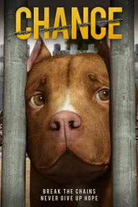 الحظ Chance