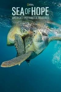 De l'espoir sous l'océan
