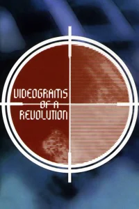 Vidéogrammes d'une révolution