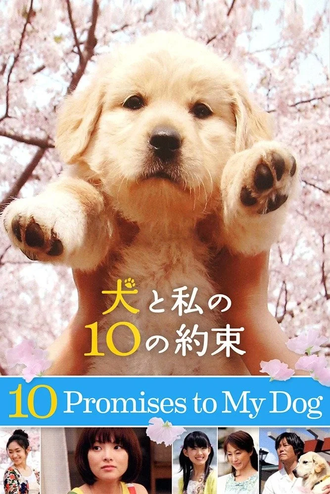 10 وعده به سگم