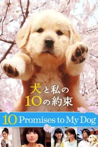 10 وعده به سگم