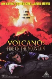 Le réveil du volcan