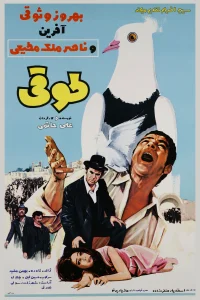 توفی