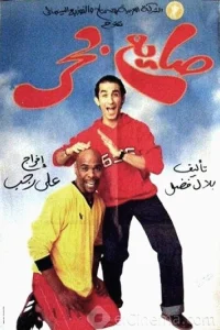دمپایی ساحلی