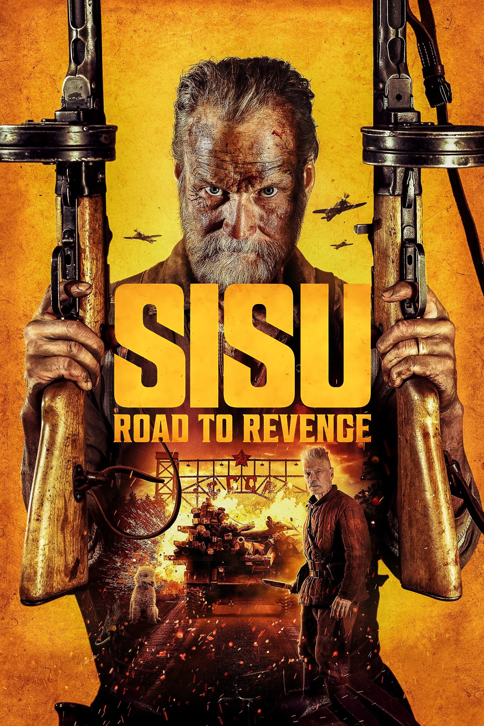 Sisu 2