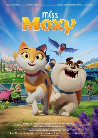 Cesur Kedi Moxy