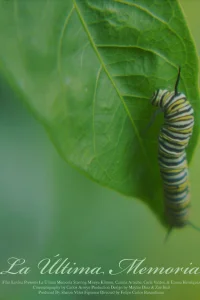 آخرین یادگار