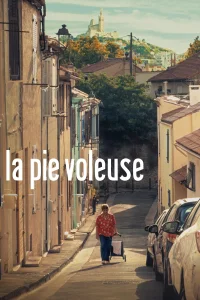کندن کلاغ دزد