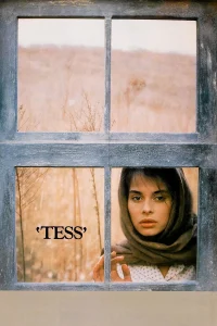 تزئینِ تست