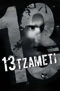 13 تسامتي