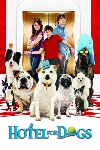 Palace pour chiens