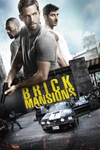 منازل منBrick
